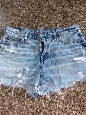 American Eagle Outfitters Light Blue Distressed Denim Cutoff Shorts